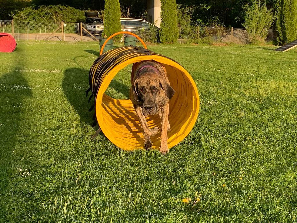 Sportliche Lizzy
