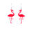 Thumbnail: Flamingos