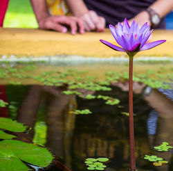 No parque botânico da Vale