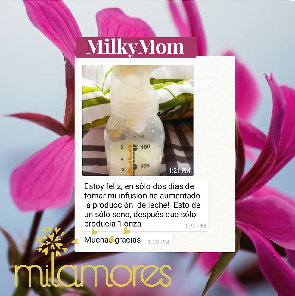 Miniatura: Infusión MilkyMom Milamores 15 días