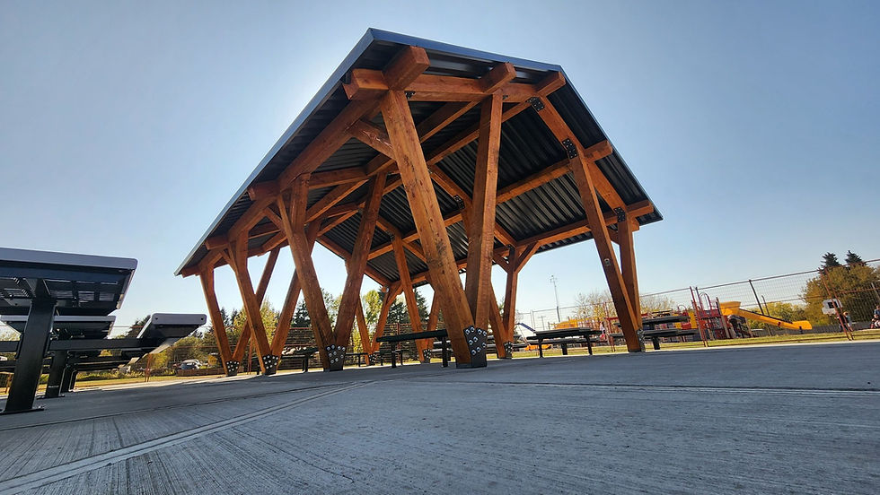 Wooden and Steel elegant outdoor shelter with tables