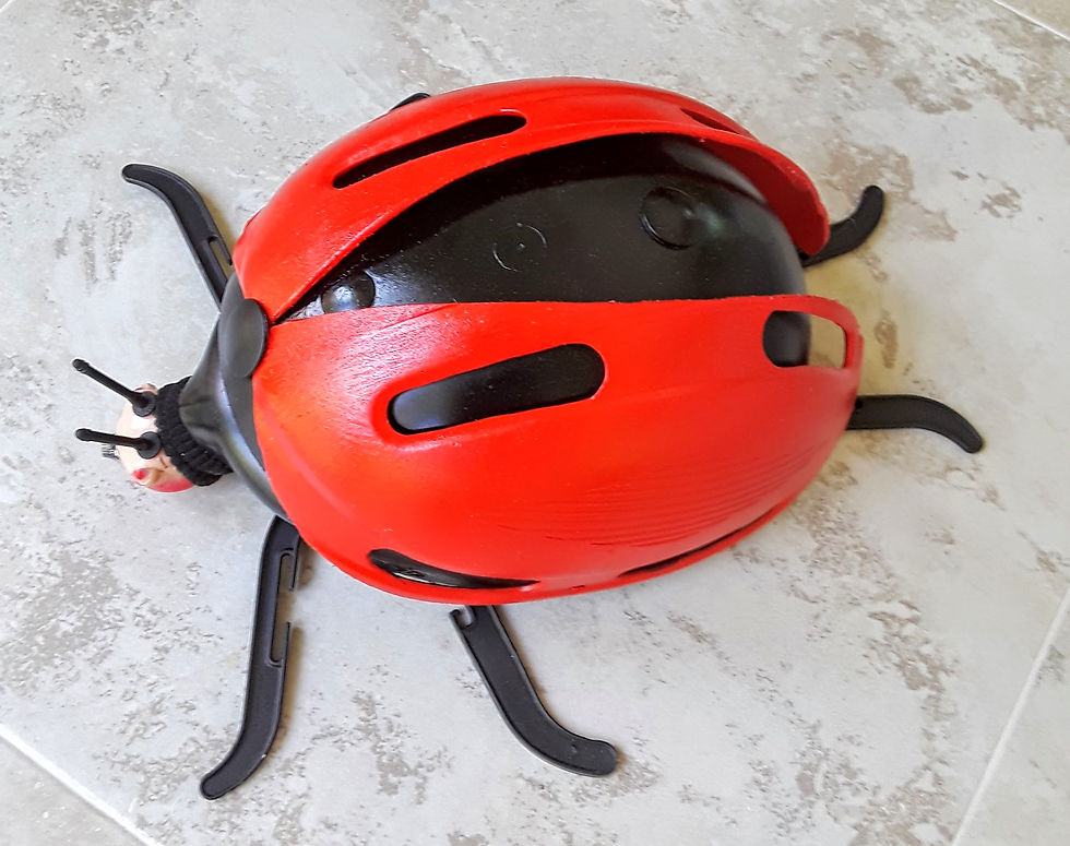 Barbie Head Ladybug, side view