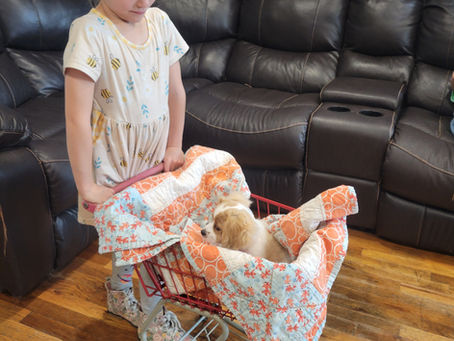 Kids + Puppies: Teaching Littles to Love Gently