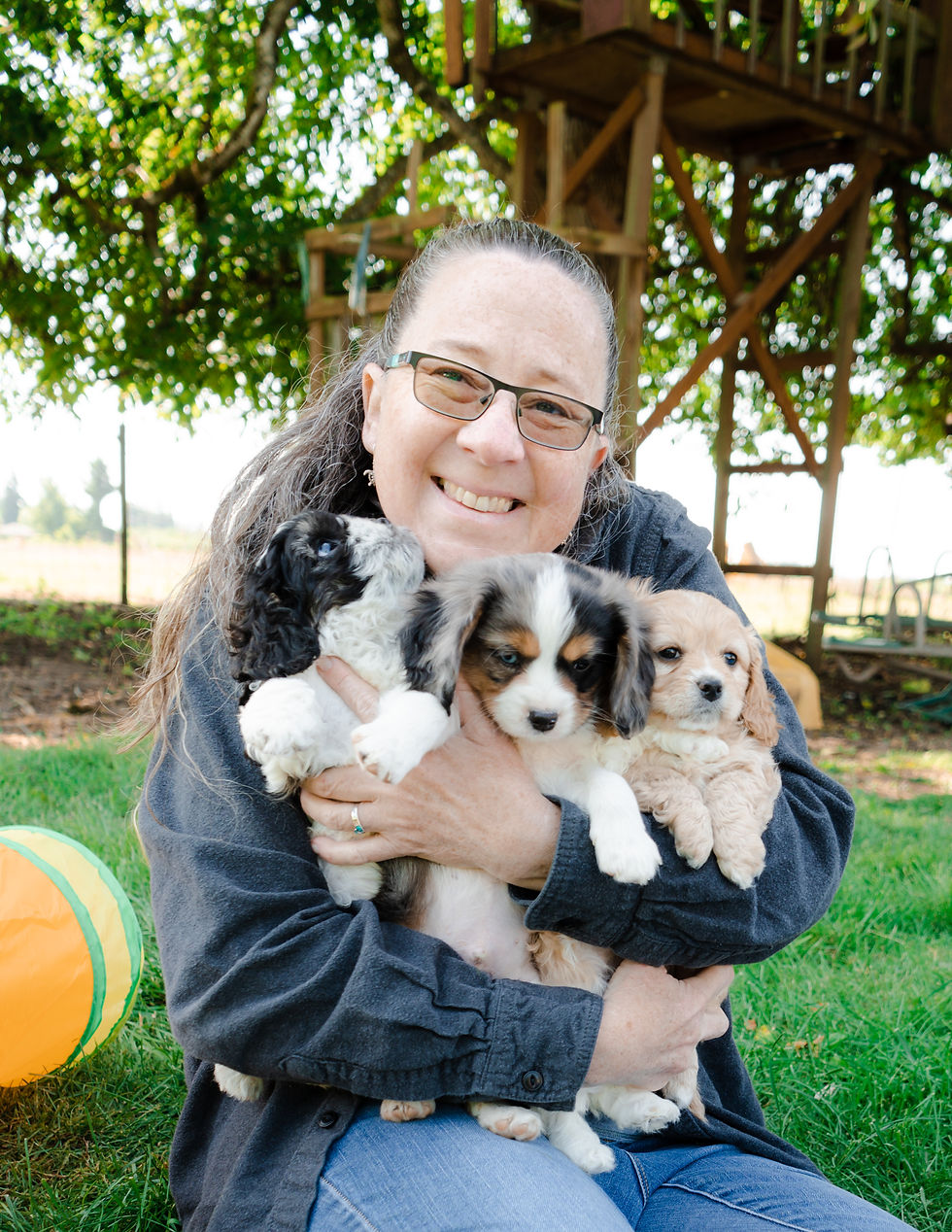 Puppy Love and Mental Health: How Dogs Boost Family Joy