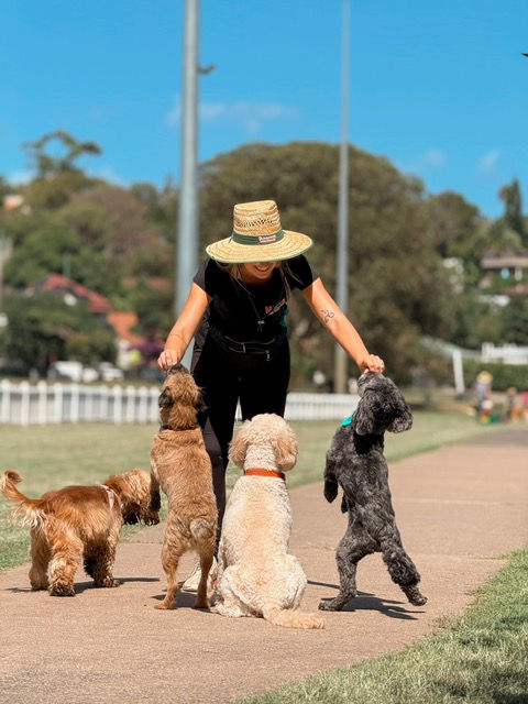 38f71e04-257a-4dcc-8e07-bdf5c13e1228