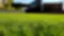 turf-site-pic.webp
