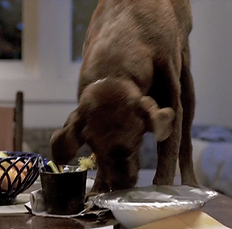 Reynold Wrap The Tougher the Better Deirdre Virgie