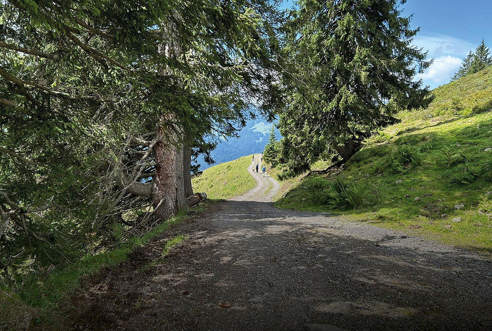 Naturfoto von einem Wanderweg in einer bergigen Umgebung. 