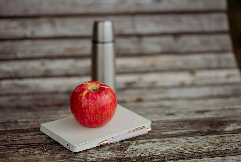 Eine Bank auf der ein Notizbuch, ein Apfel und eine Thermosflasche platziert sind