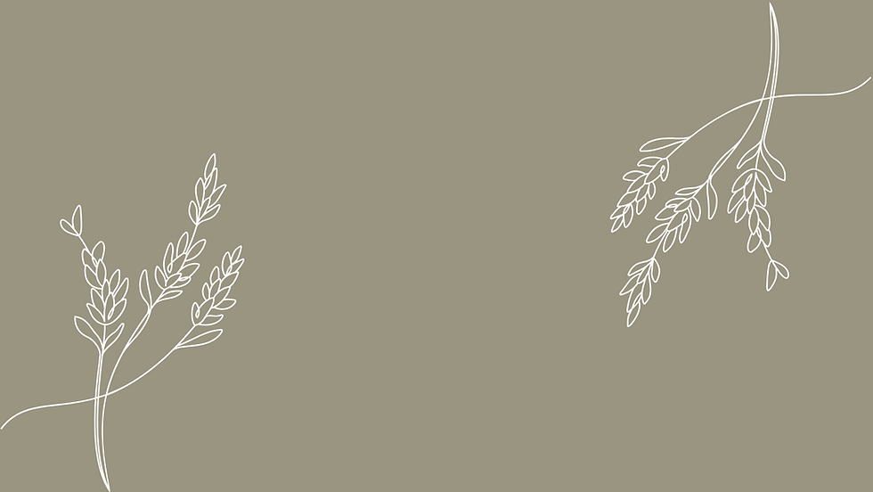 Untitled (Facebook Cover).png
