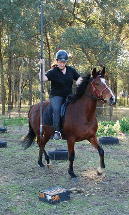 Horse Archey, Mounted Archery, Horseback Archery, Horse Archer, Mounted Archer, Medieval Horse Sports Australia, spear from a horse