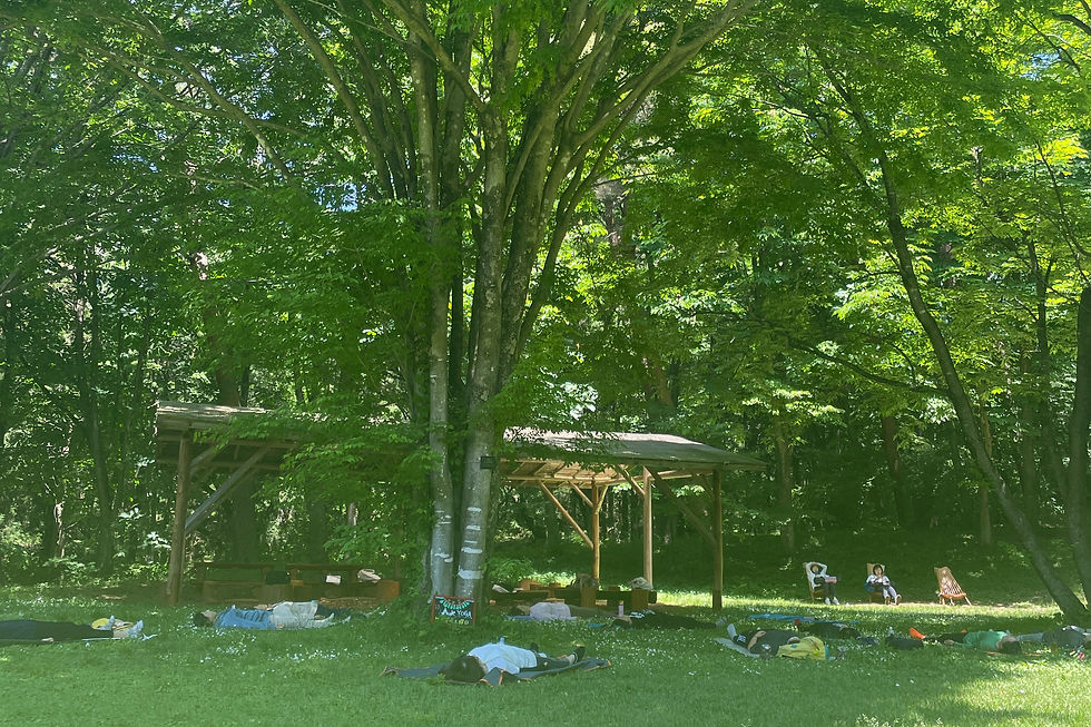 赤城自然園森ヨガ