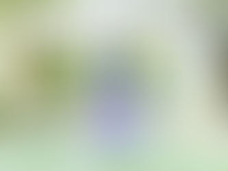 私がヨガを始めた理由