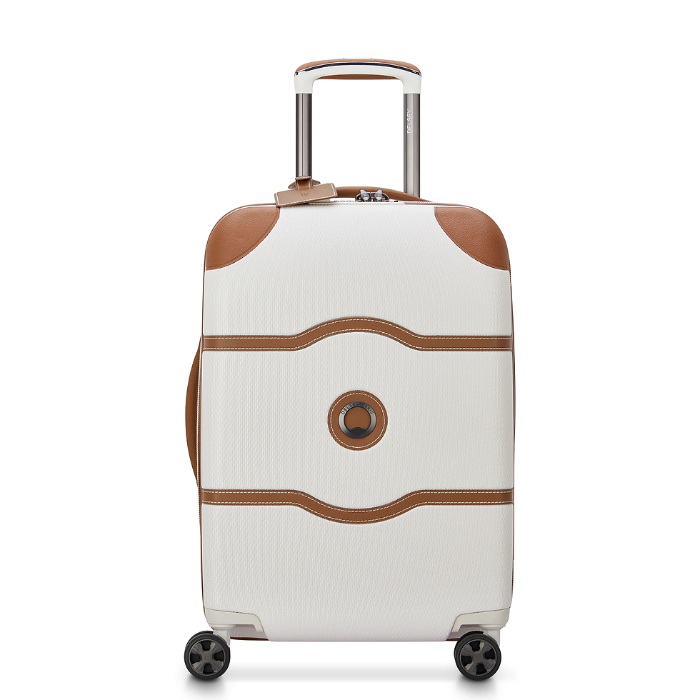 Delsey Paris white and brown carry on luggage
