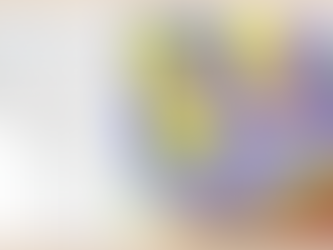 RadioPlanner 2.1 update 190919