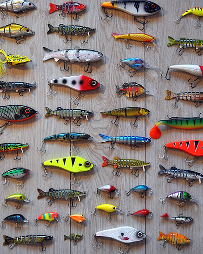 fishing-2669219.jpg