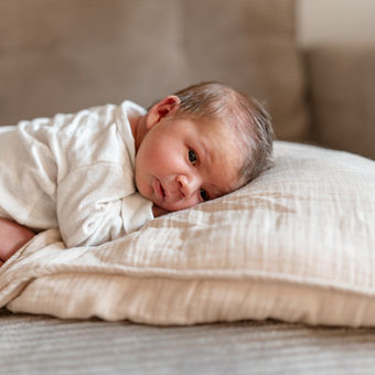 Babybauchshooting Mistelbach, Babybauchshooting im Freien Mistelbach, Paarshooting Mistelbach, Familienshooting Mistelbach, Neugeborenenshooting Mistelbach, Fotograf Weinviertel, Jasmin Kurzweil Fotografie