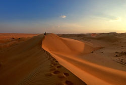 Wahiba Sands - dunes