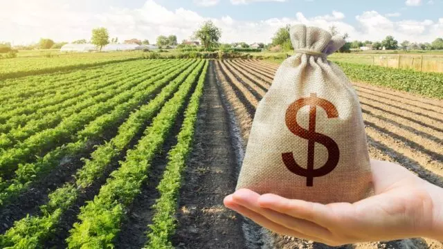 agro-dinheiro-640x360.webp
