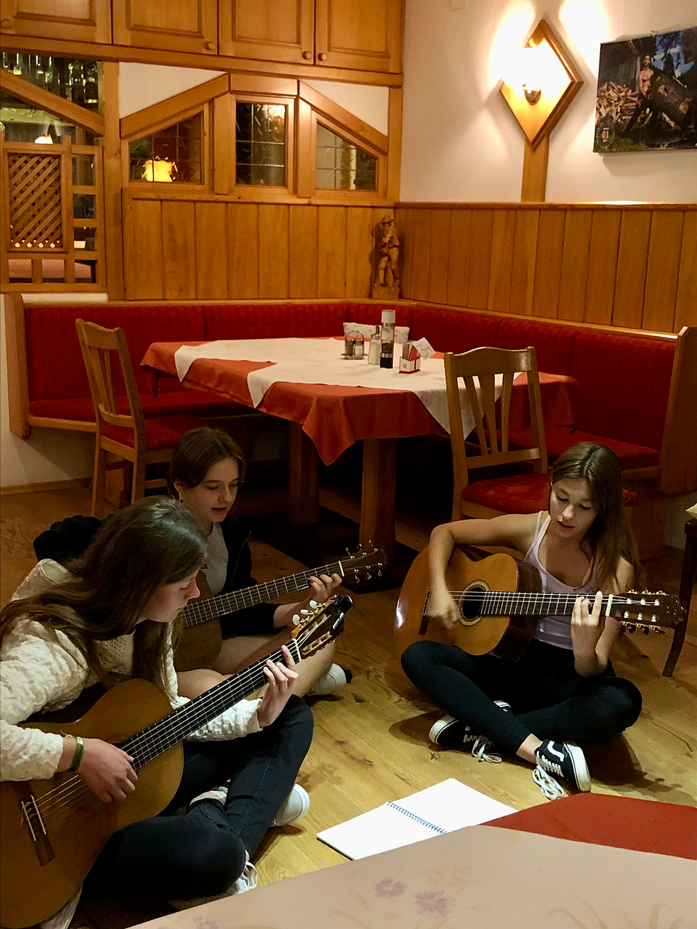 Miniaturbild: Gitarrenworkshop Windischhütte