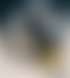 Al via la seconda tappa del Festival degli Animali in Giallo 2026 sabato 7 febbraio al Polo Culturale Pietrasanta a Napoli. Eventi gratuiti dalle 10,30 alle 20 e due tour al Museo dell’Acqua