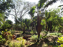 Hotel Ramena