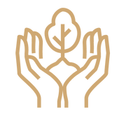 ikona