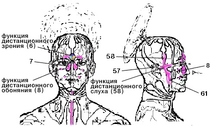 Умение высказать свою мысль. Яснослышание. Уравновешивание сознательного и интуитивного приёма информации.