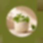 Art at the Farm: Kintsugi-Inspired Planter Workshop with Luscious Leaves