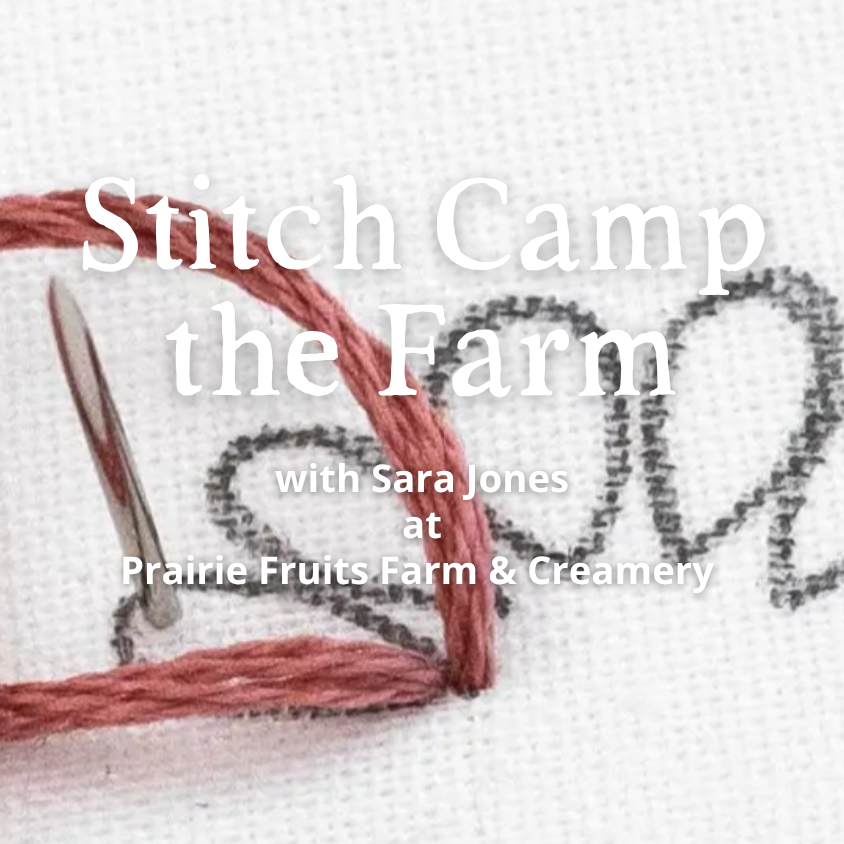 Stitch Camp Series: Week 3 – Loops & Chains