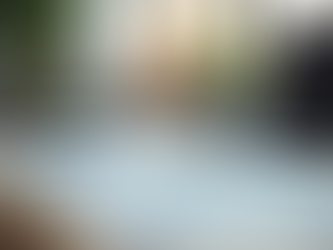 Uzman Web Tasarım Hizmetleri: Profesyonel Web Tasarım Ajansı Neden Önemli?