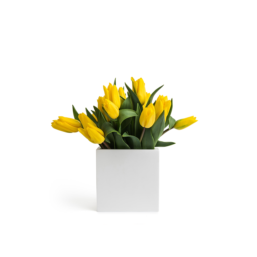 AGARTAL | Vase