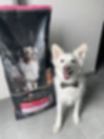 2540828-59687255-DC62-4971-9EE1-C9FF1E888CF0