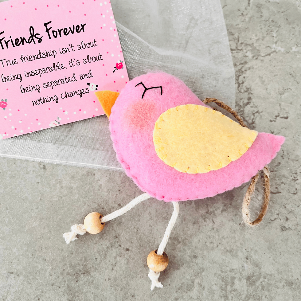 Pink and yellow felt hanging bird with a white organza gift bag and pink Friends Forever message tag