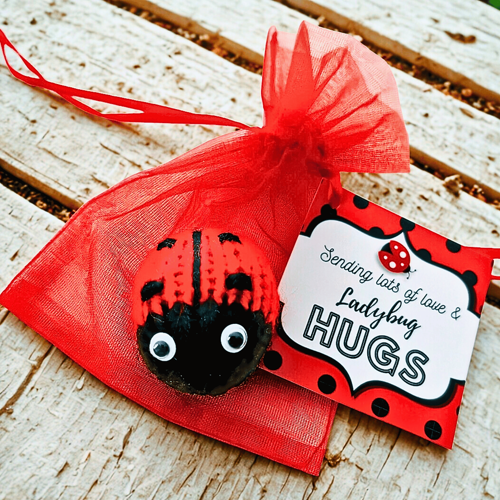 Knitted ladybird with a red organza gift bag and a message tag that reads sending lots of love and ladybug hugs