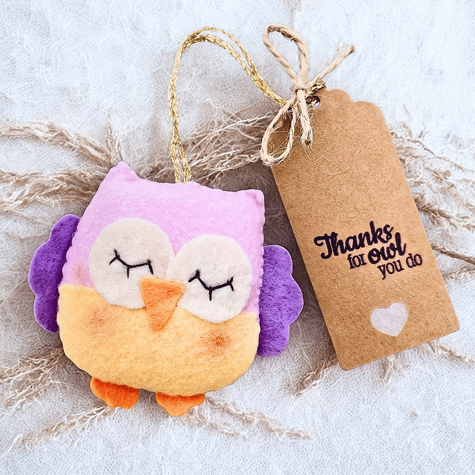 Thumbnail: Pink yellow and purple felt owl hanging with a brown tag that reads Thanks for owl you do