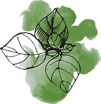 Watercolor Leaves _edited.png