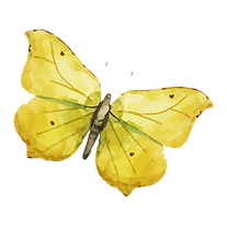 Watercolor Butterfly 8_edited.png