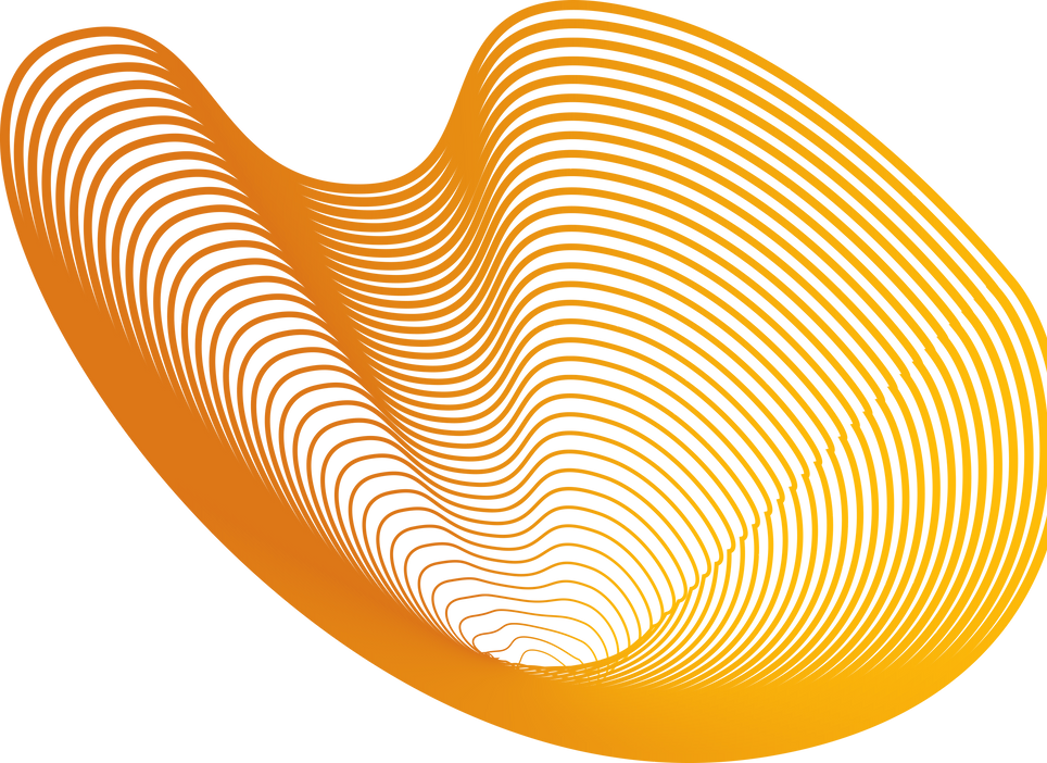 custom website development