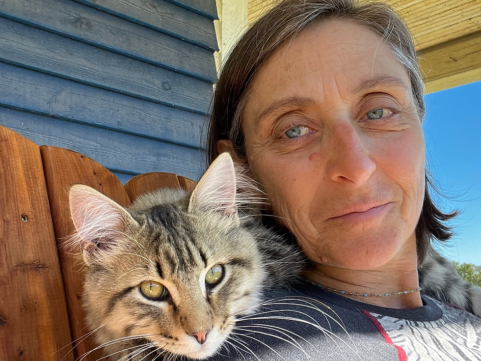 Cat on my neck