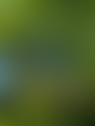 Hello, Green World