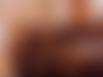 The Best Dog Friendly Hotels in NYC 