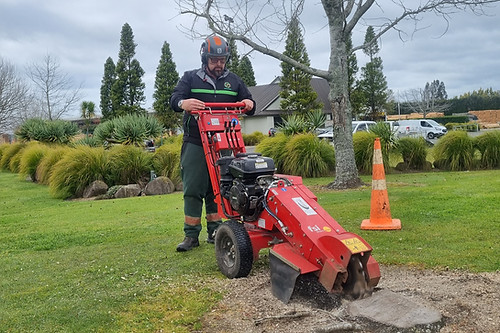 stump removal machine