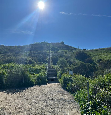 2026-01-20 11.46.56.JPG