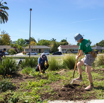 Screen Shot 2024-08-23 at 4.03.32 PM.png