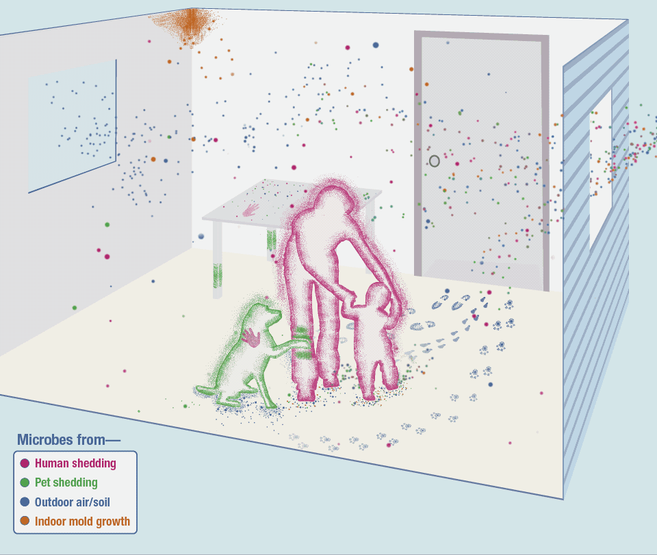 Indoor Air Quality Issues