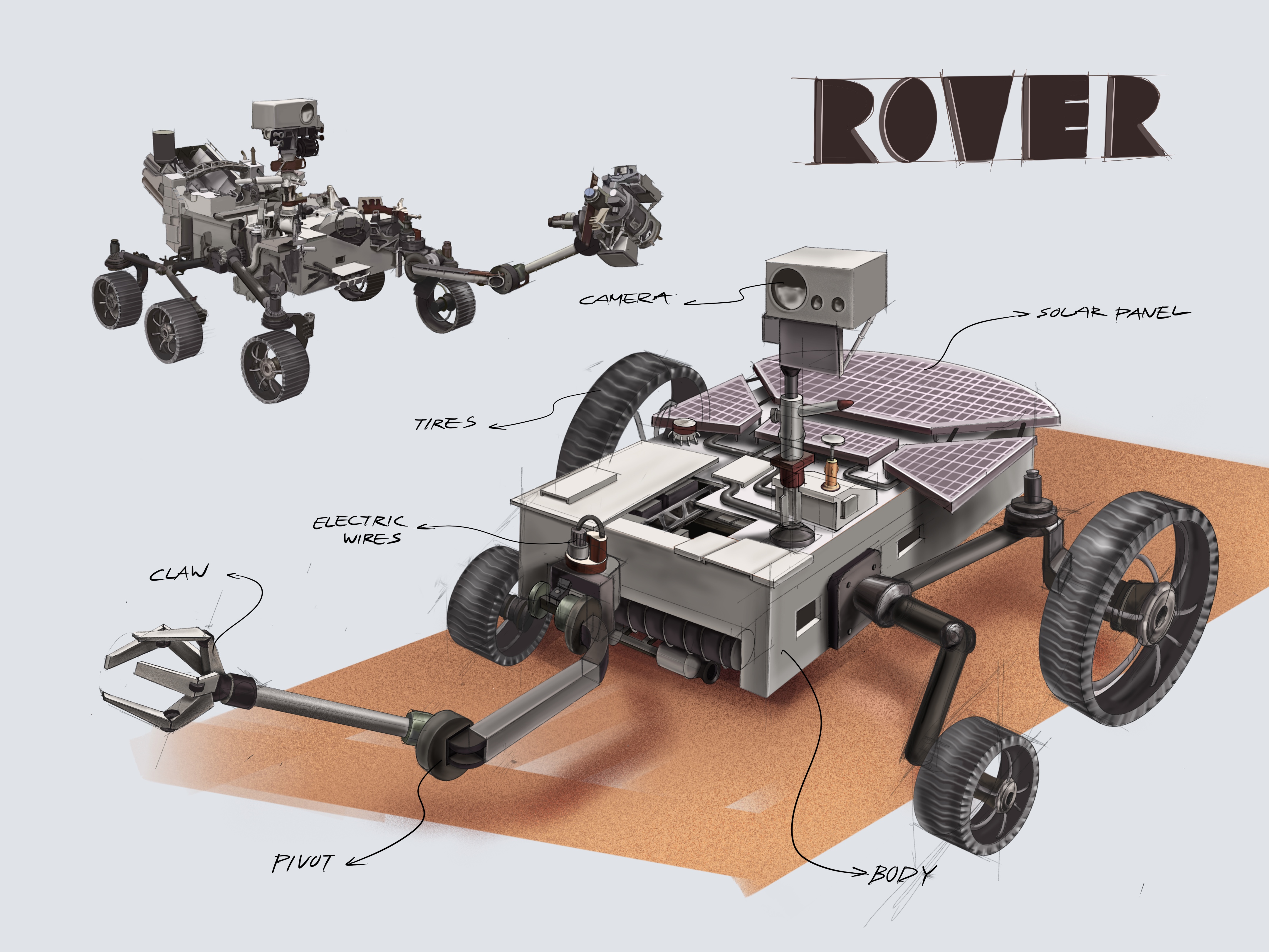 Rover.jpg