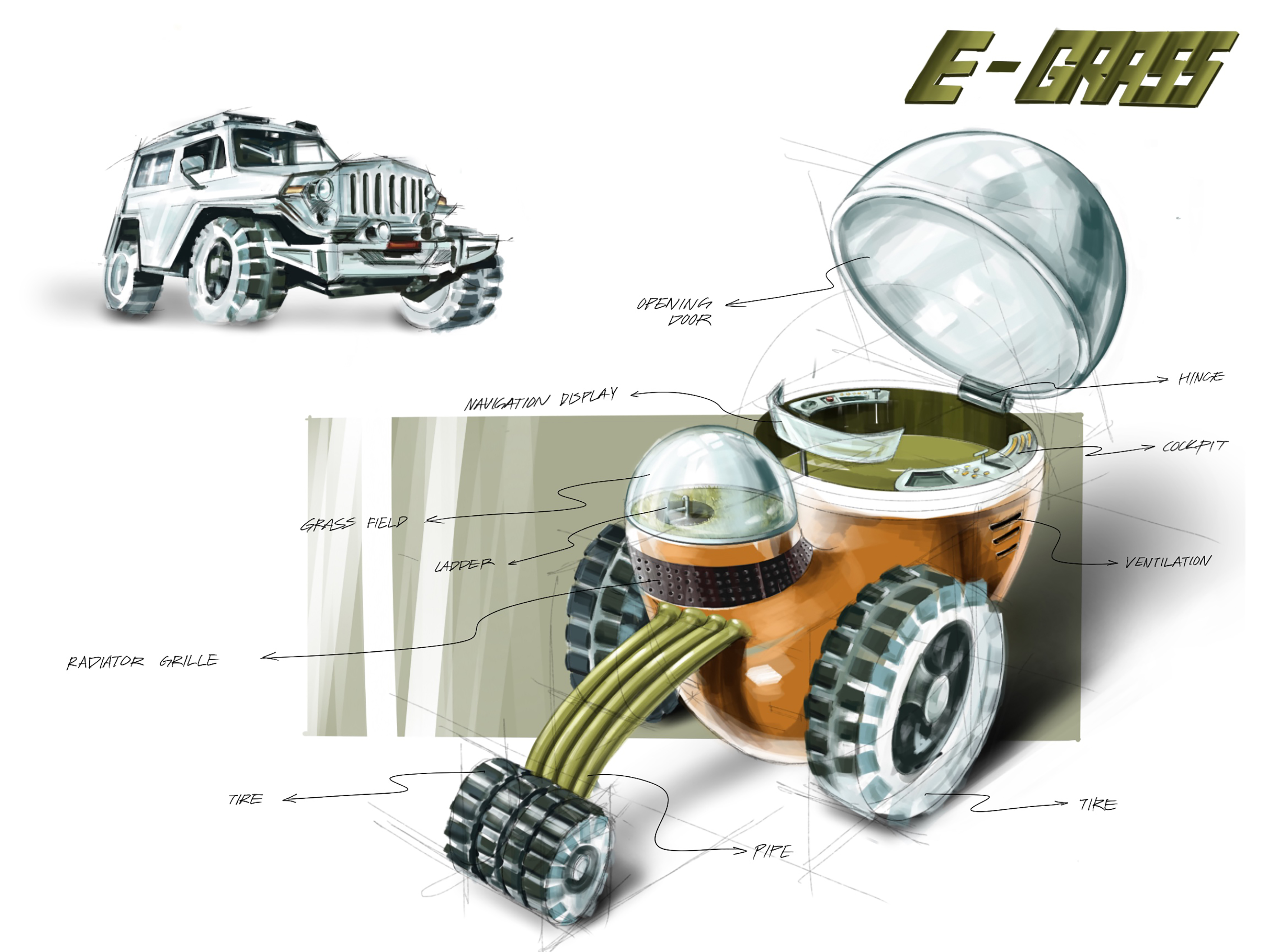 E-Grass.jpg