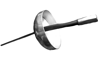 fencing_edited.png