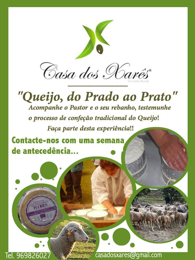 Queijo, do Prado ao Prato